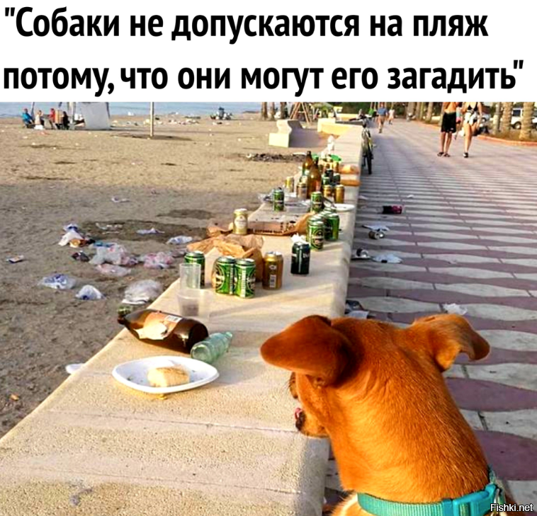 Фото взято с сайта https://fishki.net