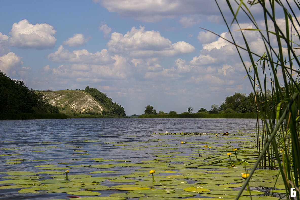 Река битюг воронежской области фото