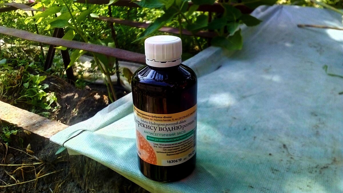 Моя баночка, в теплице на стелажах