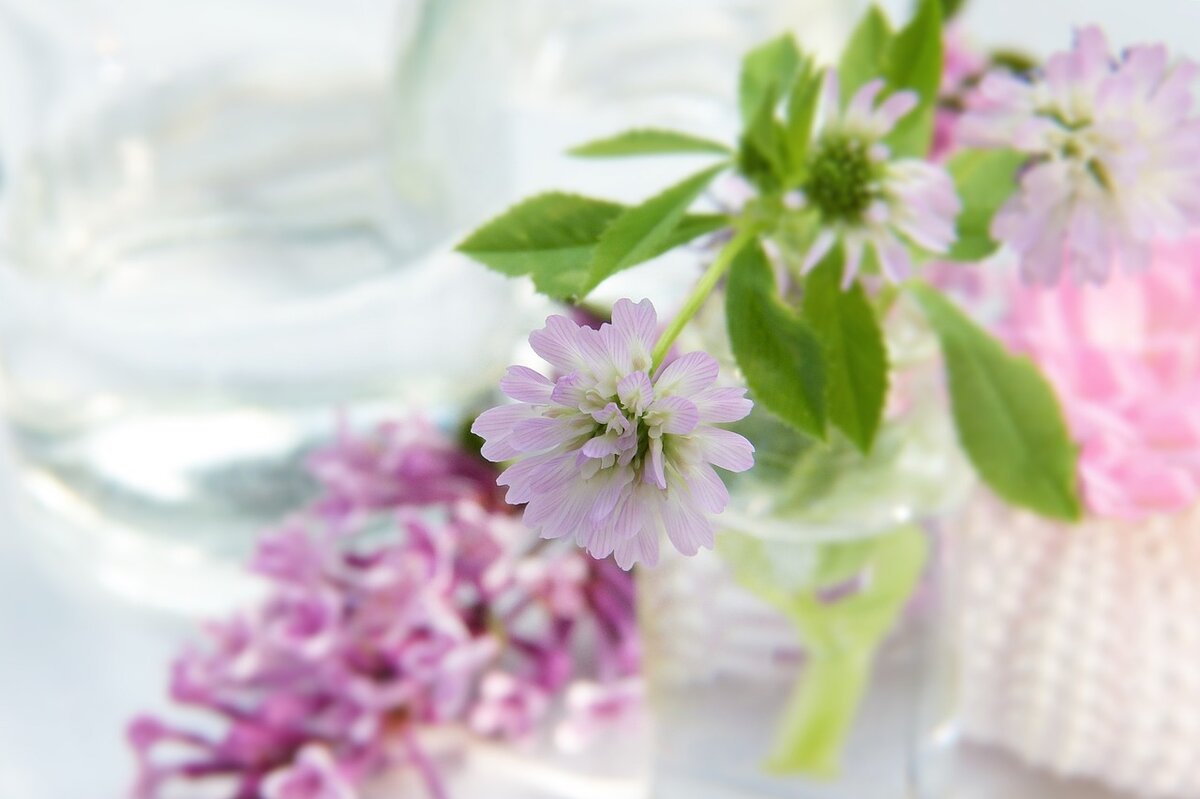 Фото: pixabay.com