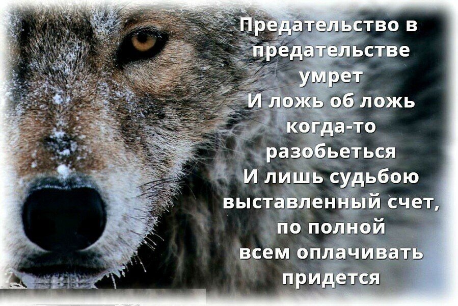 Предательство в предательстве умрет...