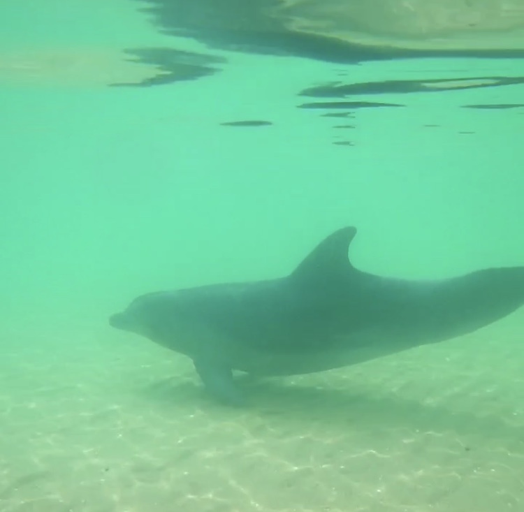 Фото сделано мной