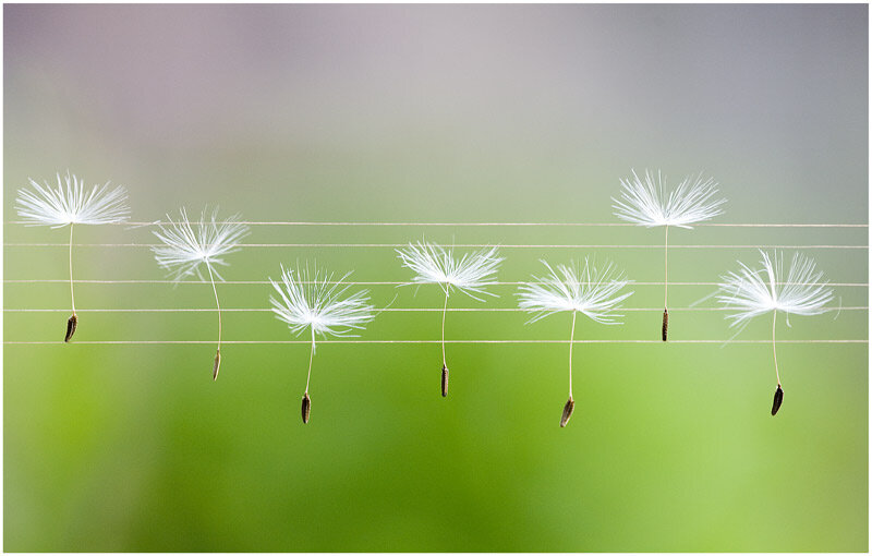 Фото из открытого источника.