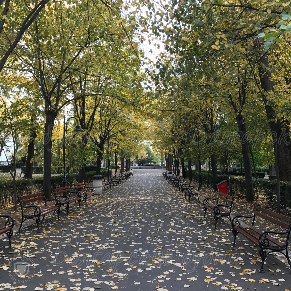 Приморский парк, Бургас