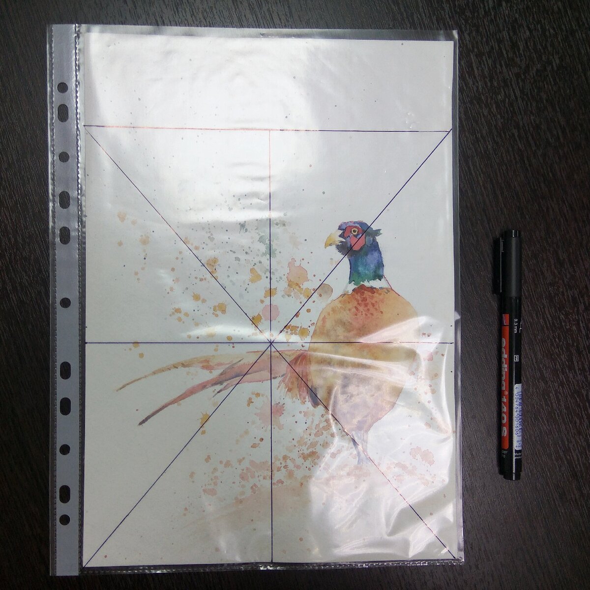 Фазан, акварель, 21х29