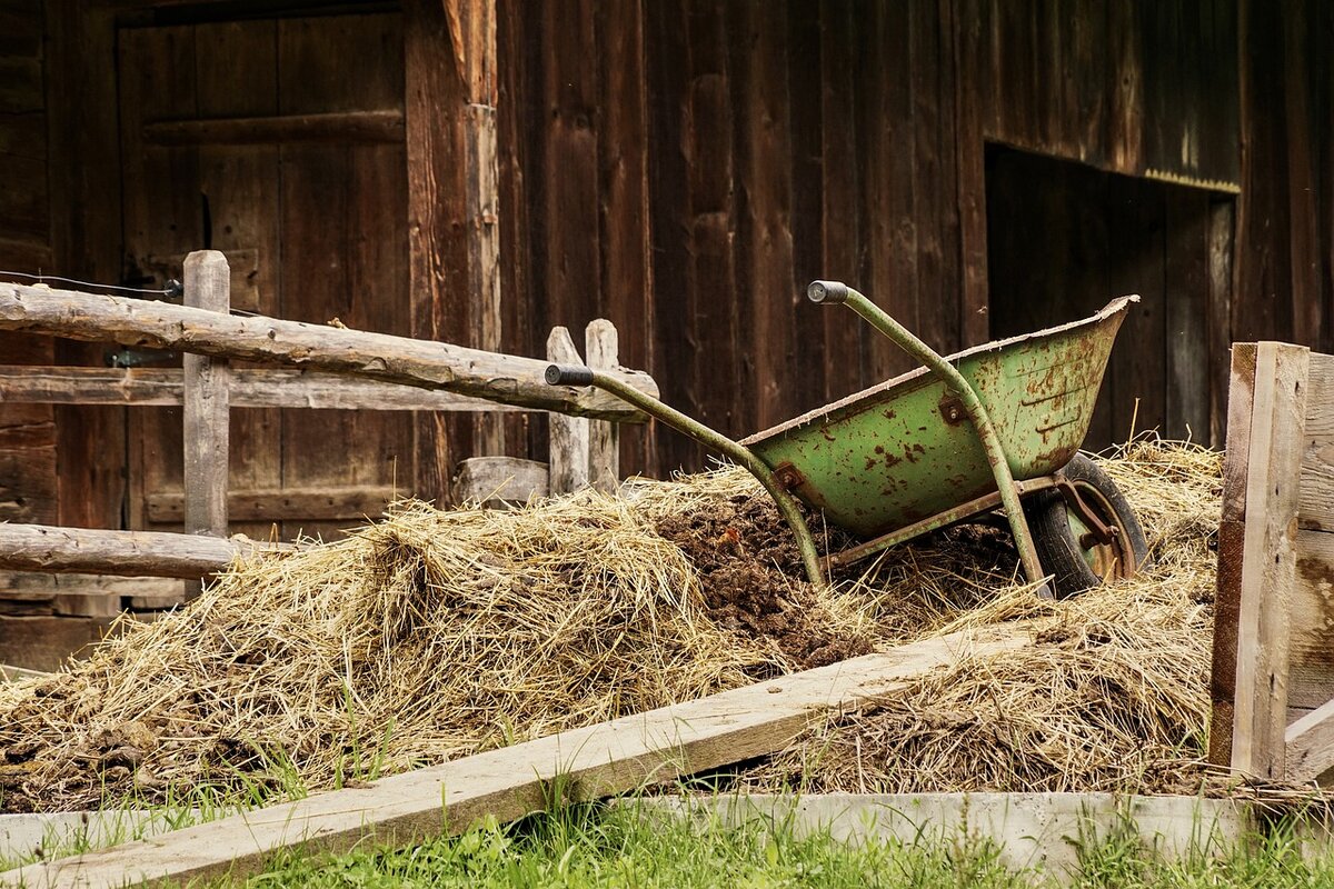 https://pixabay.com/photos/barn-farm-dung-wheelbarrow-rural-4460490/
