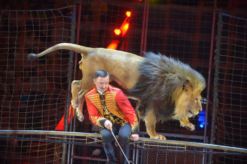 Московский цирк на вернадского фото