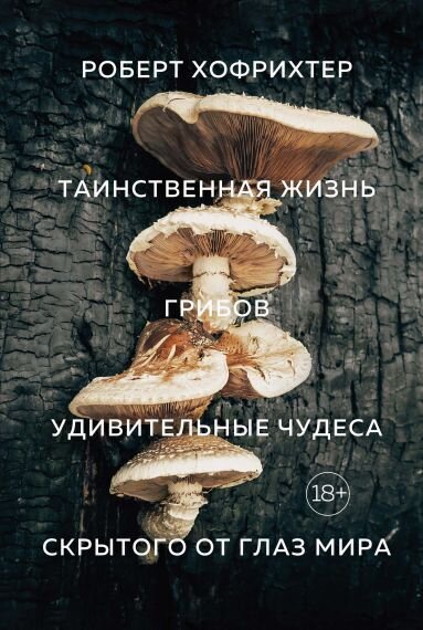  Цезарский гриб (Amanita caesarea)Pxhere 