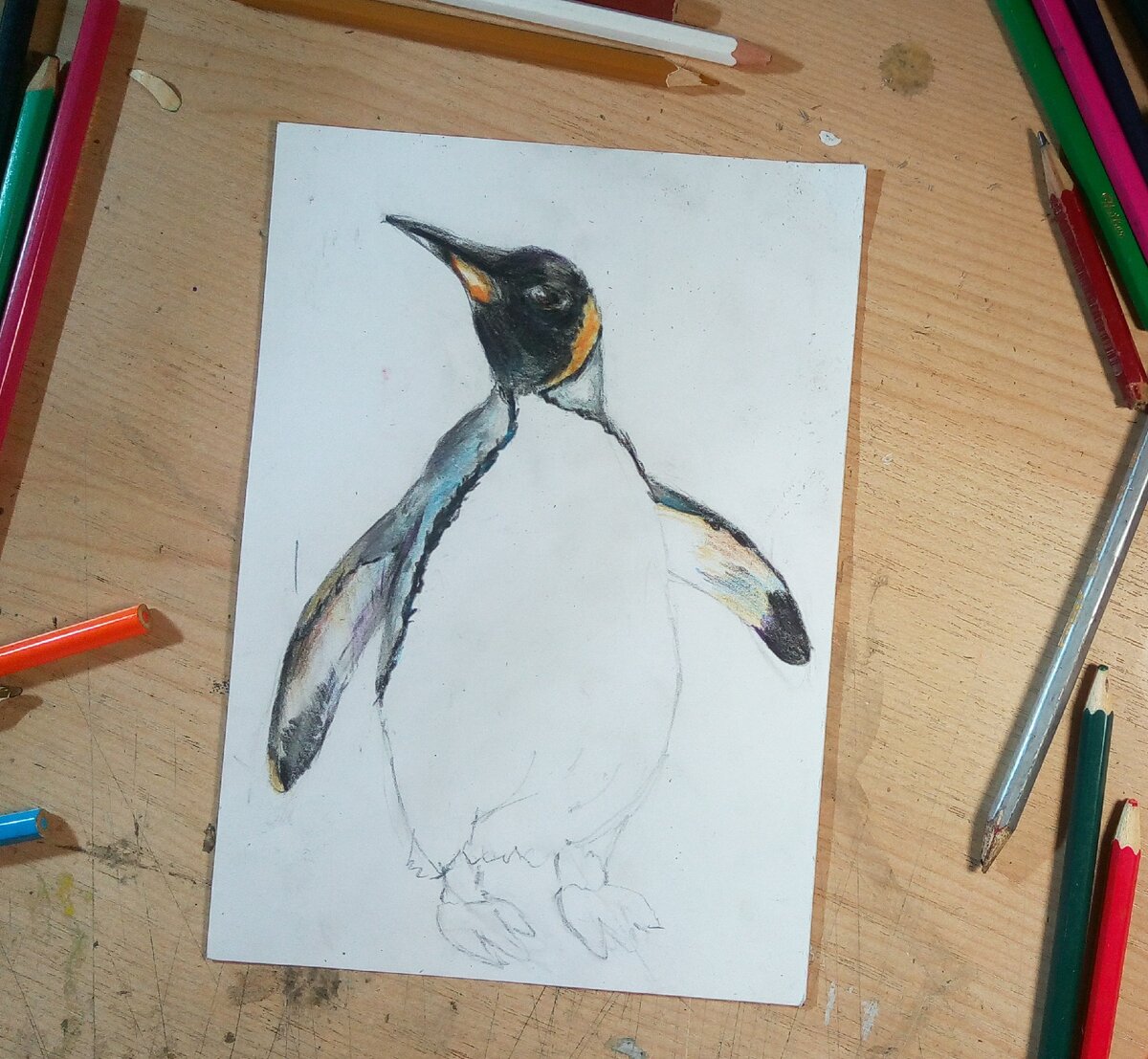 Пингвин цветными карандашами