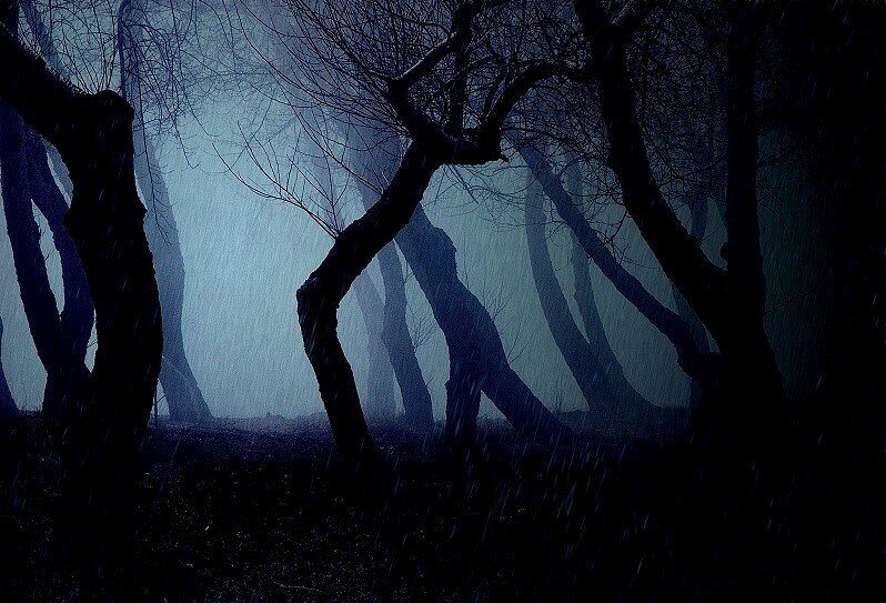 Изображение взято с открытого источника - Яндекс Картинки. Изображение не имеет никакой связи с написанным в статье. Изображение использовано в качестве иллюстрации к публикации.