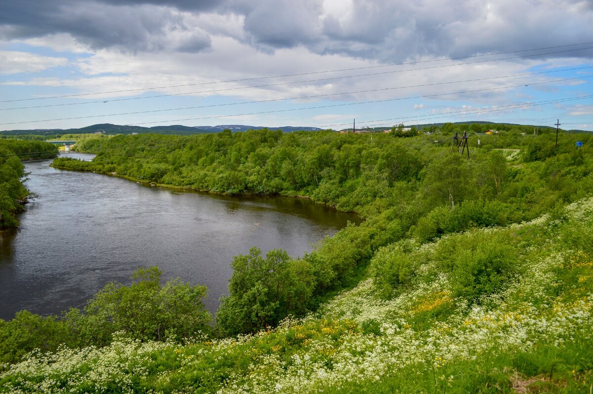 Река Печенга