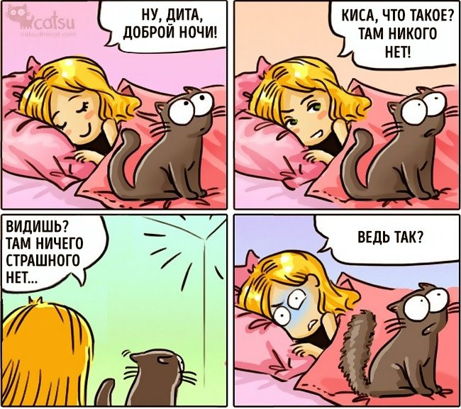 Фото взято из открытых источников.
