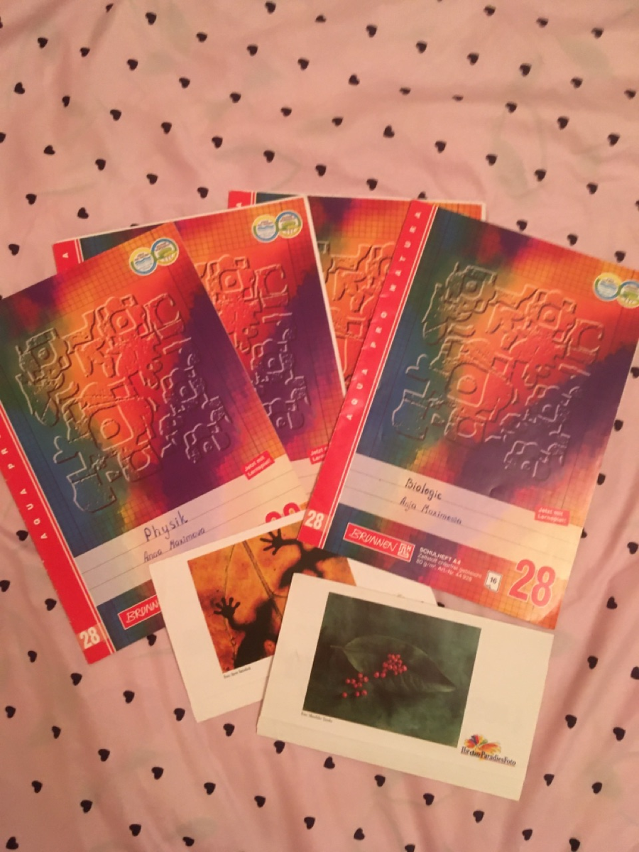 Das sind Hefte.  Hier gibt es auch ein Heft in Physik.  Здесь есть также тетрадь по физике. 