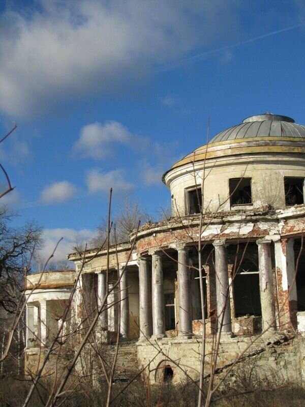 Усадьба воейкова в каменке старые фото