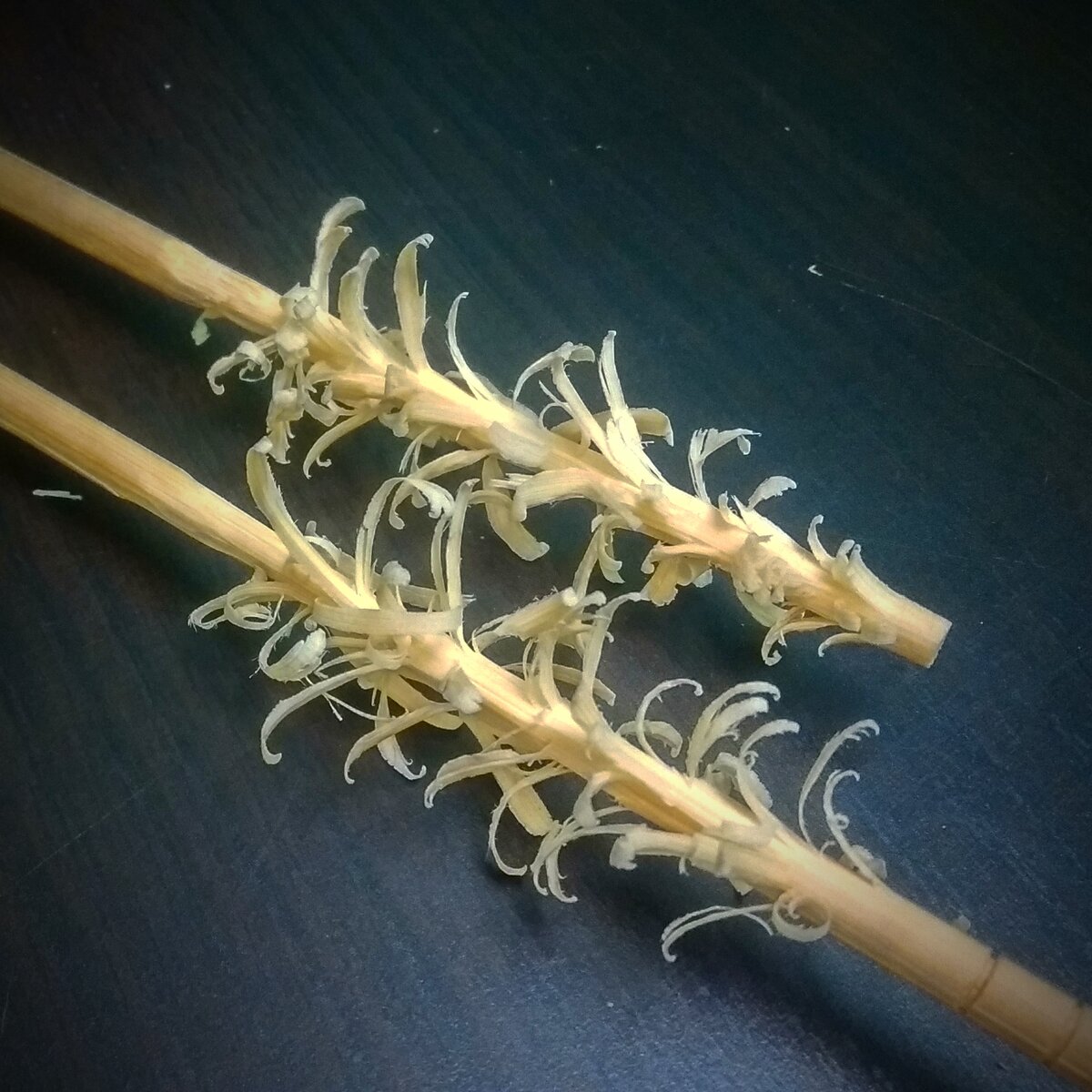 Когда-то это были палочки для еды