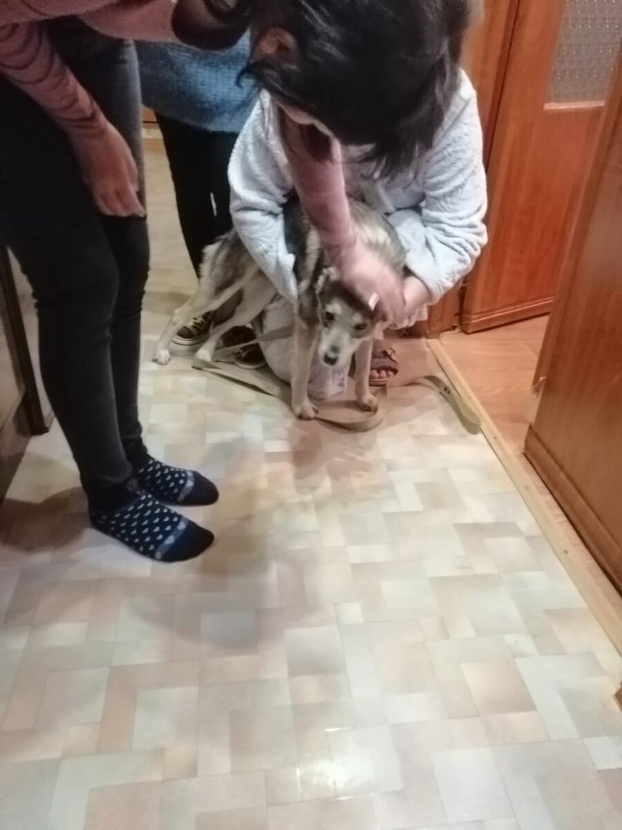 Дашу встретили "дома" 