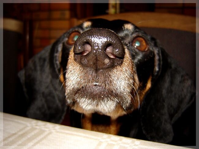 фото взято с просторов интернета