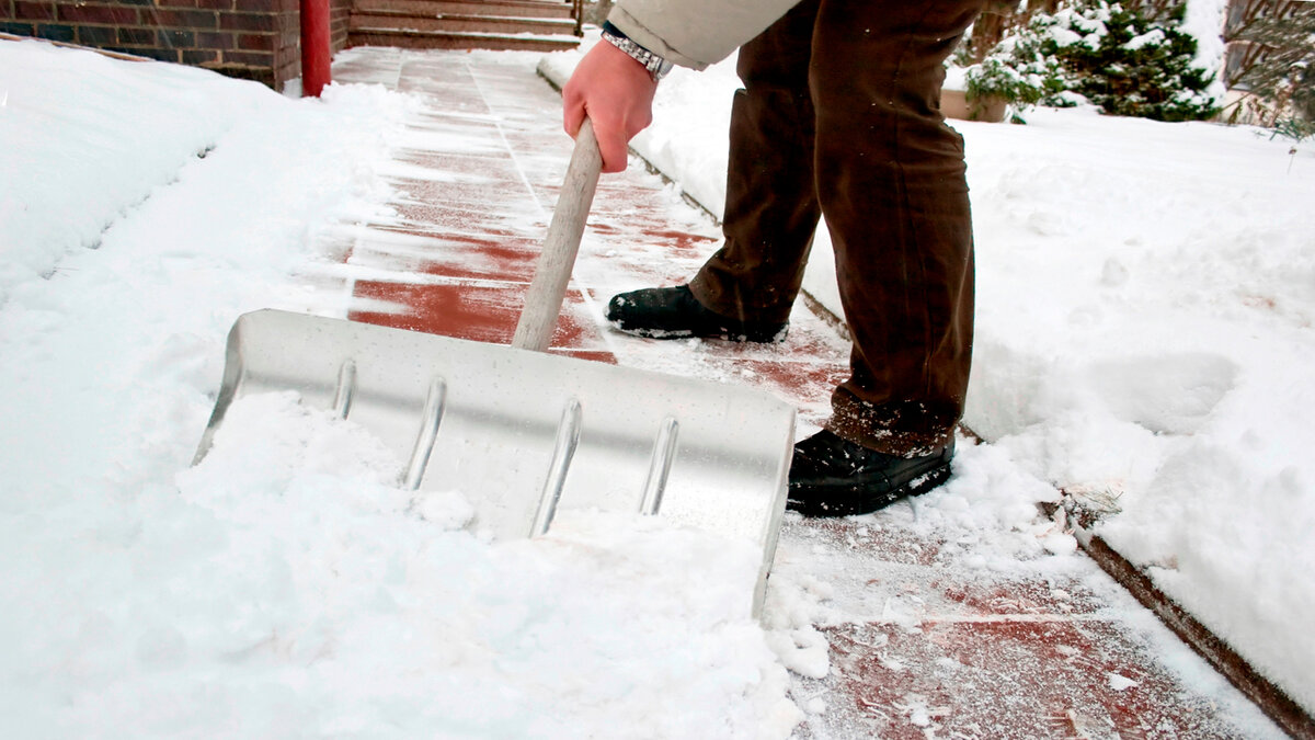 Подпишитесь на канал и поставьте лайк! Так вы поможете развитию канала. Благодарю!