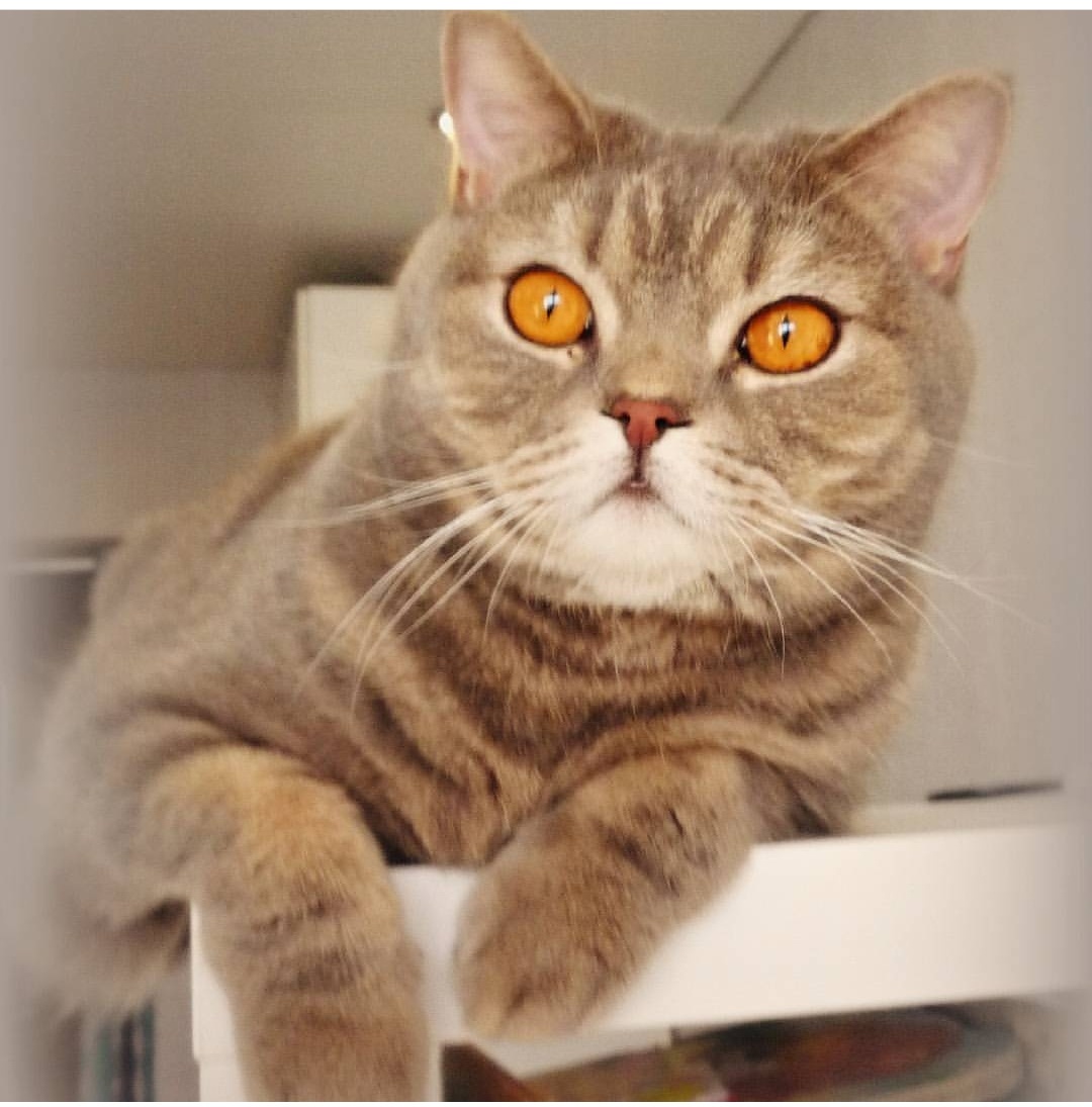 Фото из личного архива