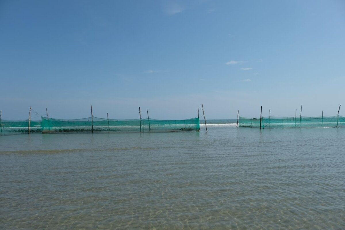 Посмотрела что внутри рыбацкой хижины посреди моря во Вьетнаме, а рыбаки  показали неожиданный улов | Путешествия с фотокамерой | Дзен