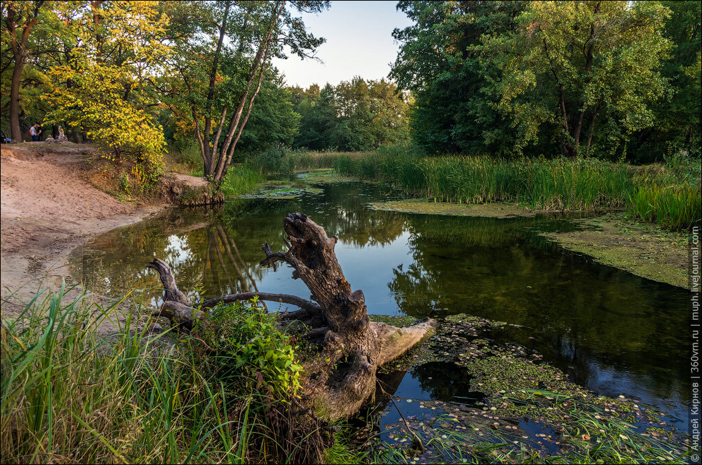 Здесь и далее фото автора