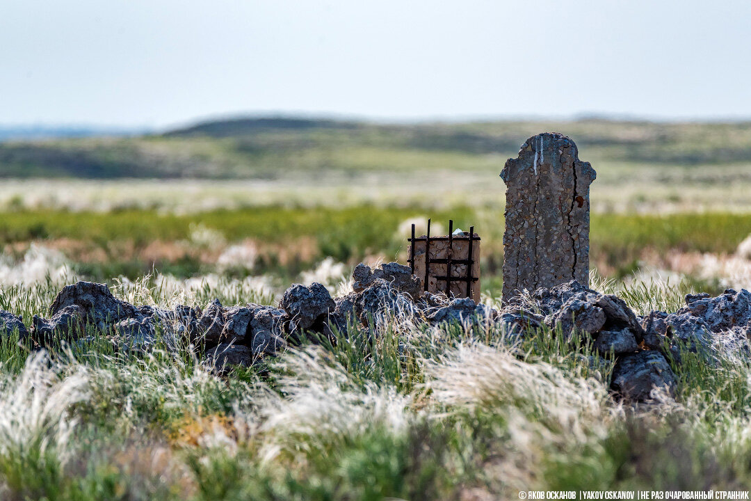 Нашёл в заповеднике могилы с непонятными надписями на памятниках. Друзья из Казахстана перевели