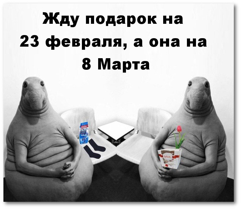 Ждем подарки