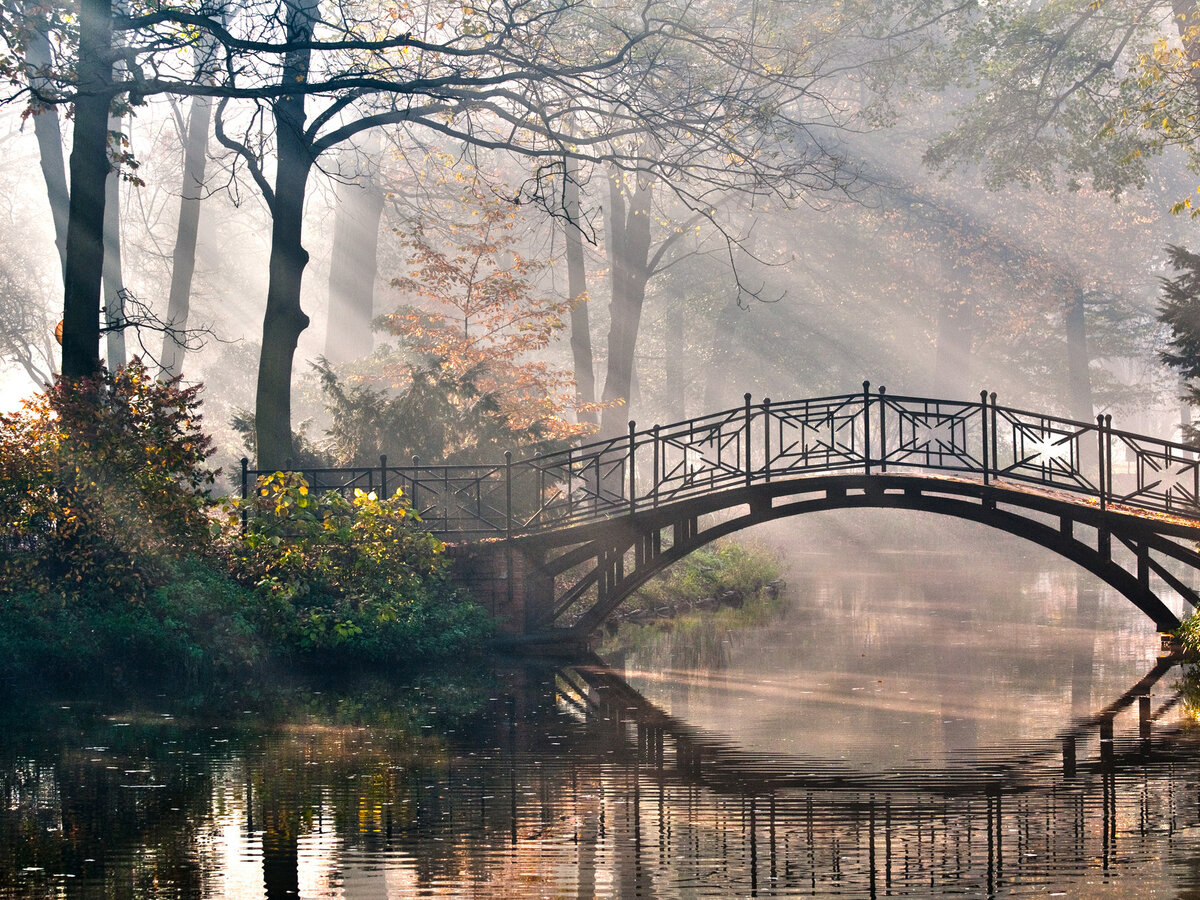 Фотография взята из открытого источника