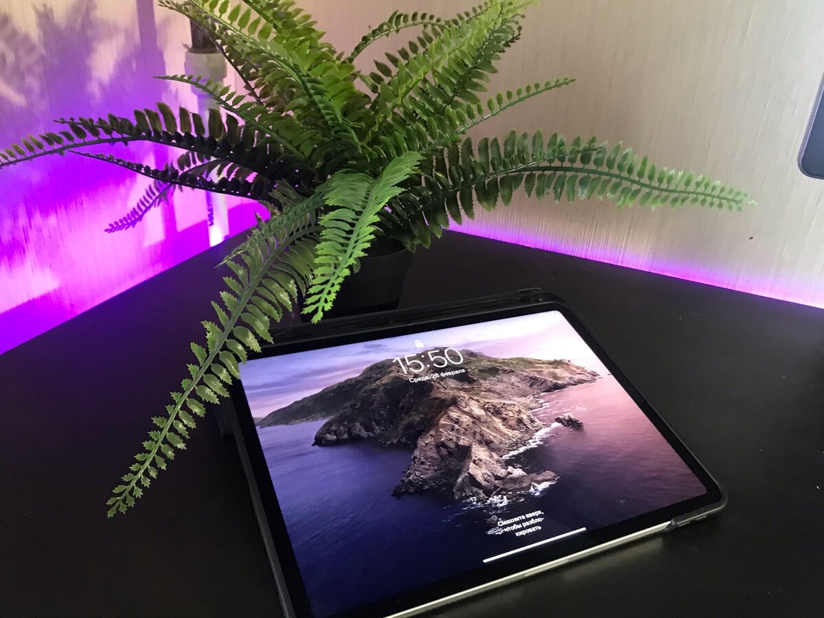 iPad Pro 11