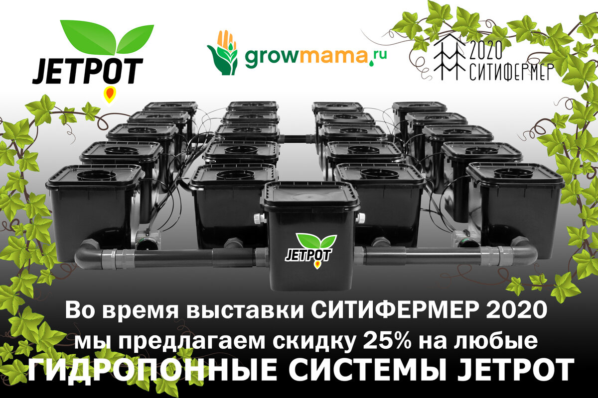 СИТИФЕРМЕР 2020 СКИДКИ НА JETPOT RDWC 