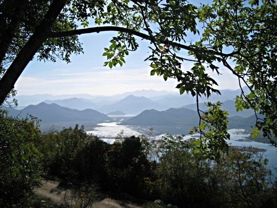 рера Црноевича питает  озеро своими  водами