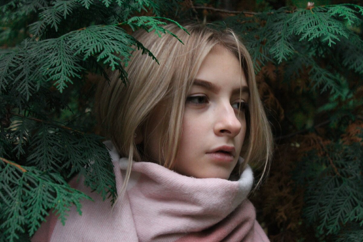 Данный снимок я получила в парке у ели. 