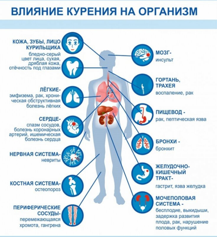 Почему курение вызывает проблемы с эрекцией