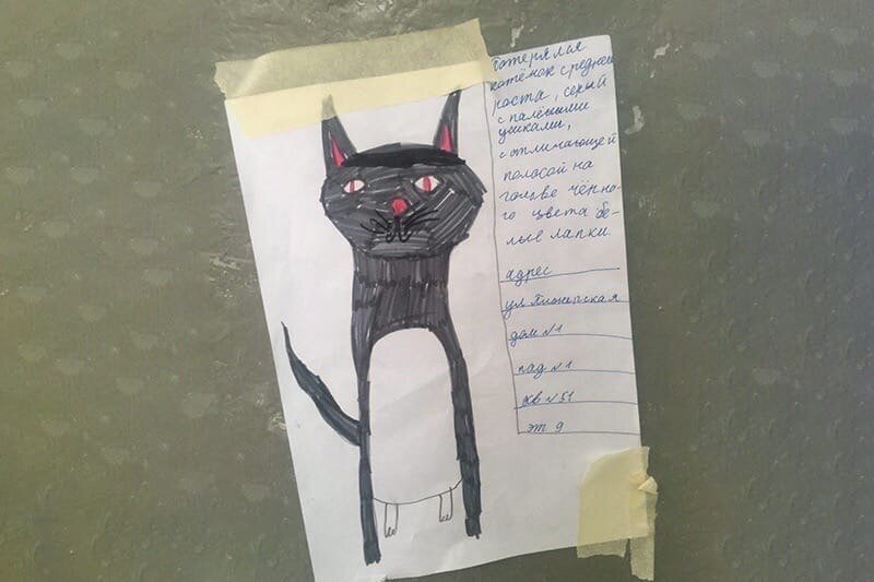 Добрая история из подмосковной Балашихи!

Там бабушка потеряла любимого котика. Долгое время искала, но безрезультатно. Одна девочка решила помочь пенсионерке, нарисовала портрет питомца с её слов.

Фоторобот развесили на подъездах близлежащих домов и распространили по соцсетям. Вскоре котик был найден и передан хозяйке.

Ищите друг друга, что бы ни было! И ждите, несмотря ни на что!