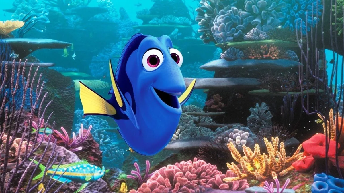 В поисках немо finding nemo. Рыбка немо мультфильм. Рыбка из подводной братвы. Это рыбка стала героем мультика. Рыбка дори и немо.