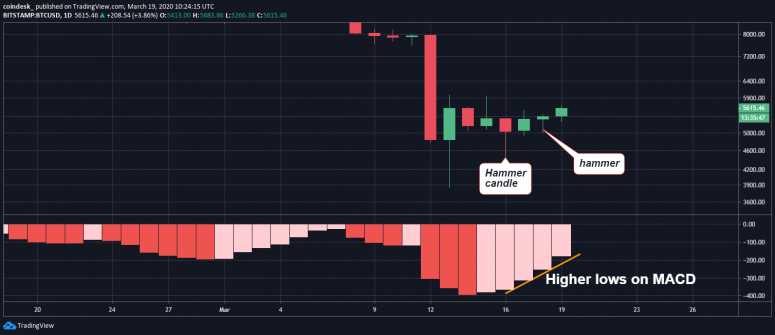 MACD на 1-дневный таймфрейме BTC/USD. Источник: TradingView