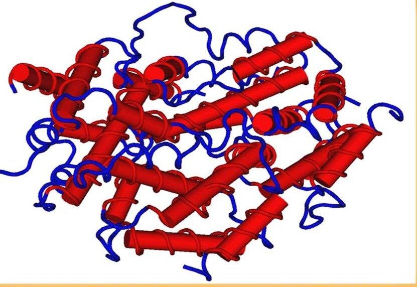 ИНТЕРФЕРОН