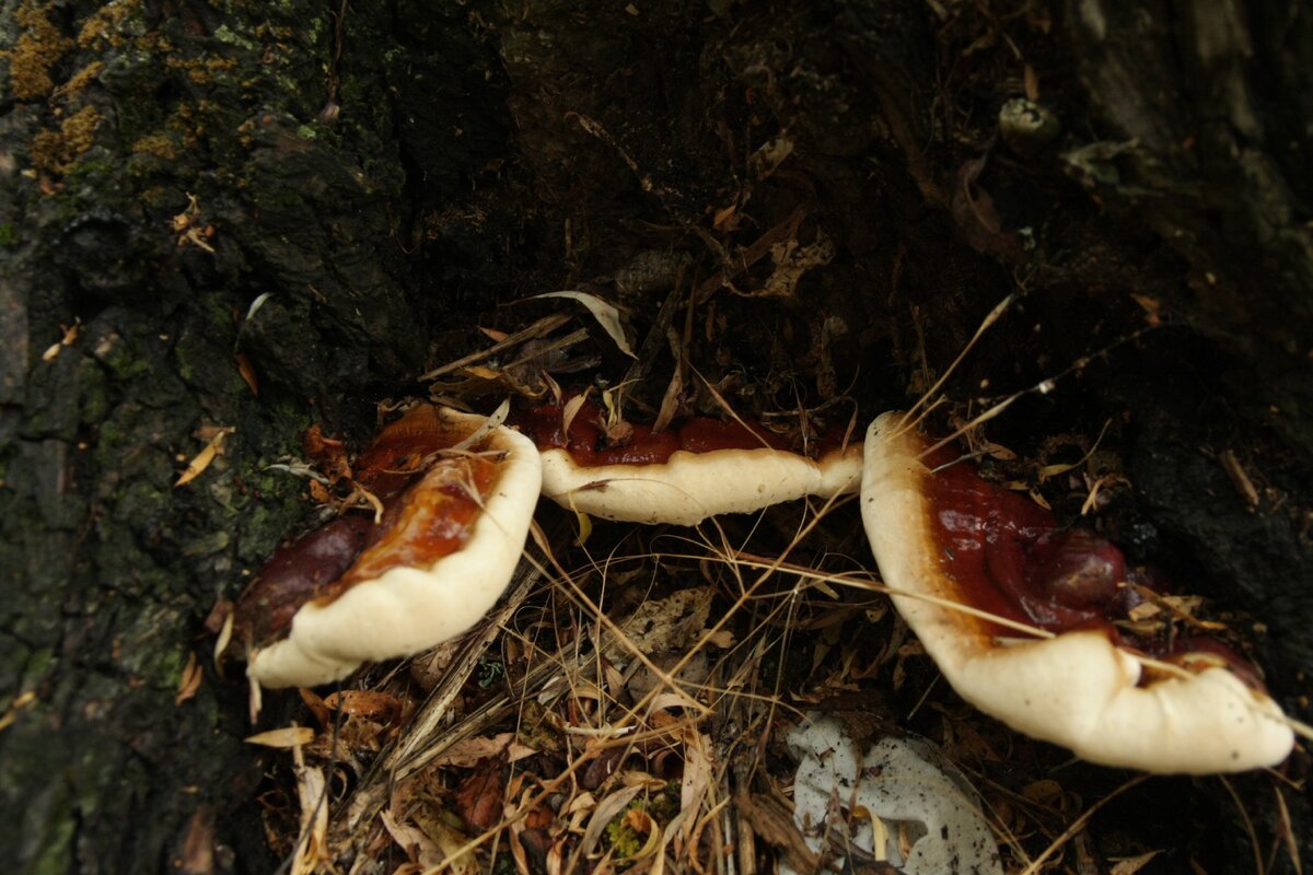 Снято в районе Новороссийска