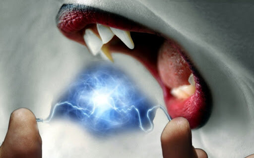 Фото интернет