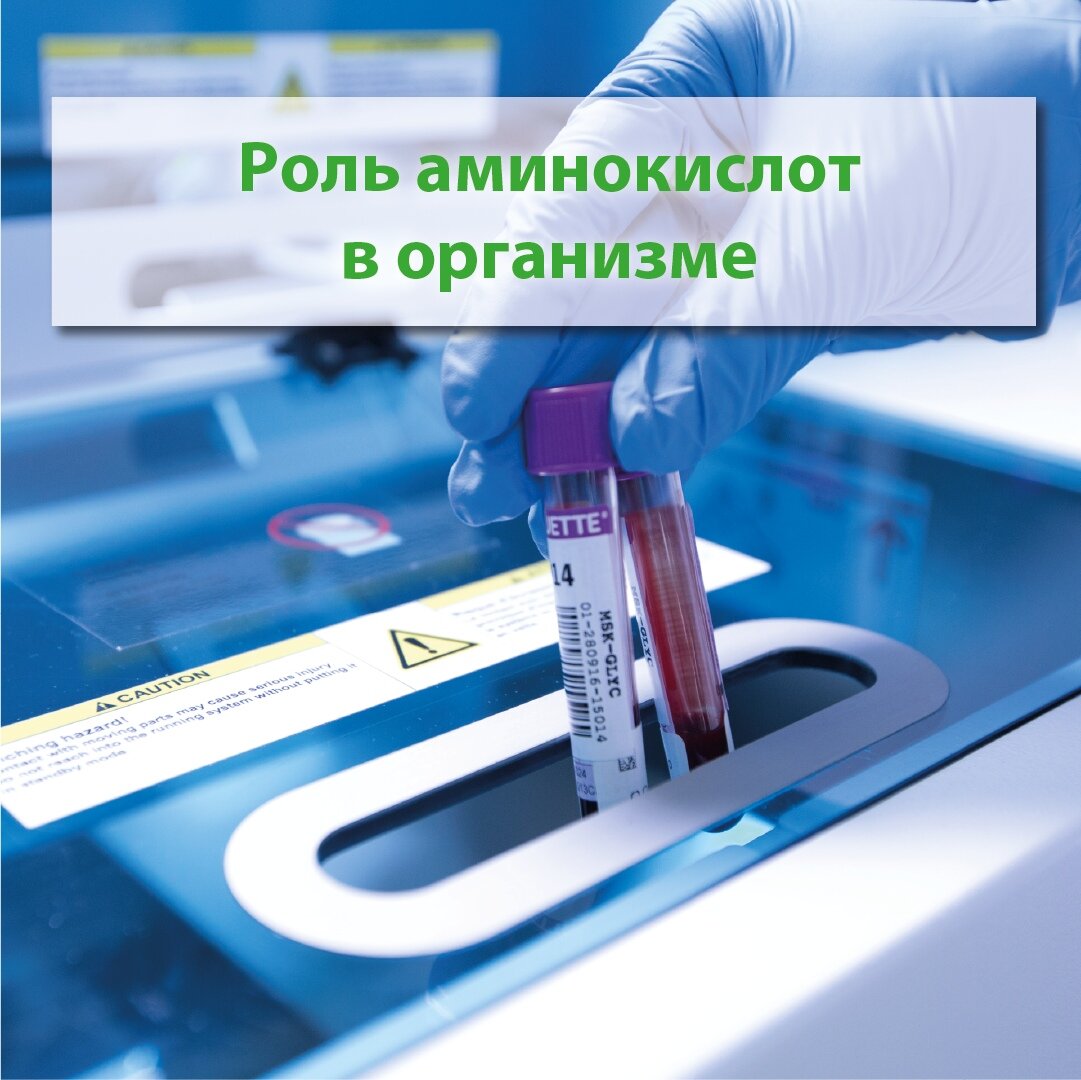 Что аминокислоты делают в вашем в организме? | Лабдиагностика-Крым | Дзен