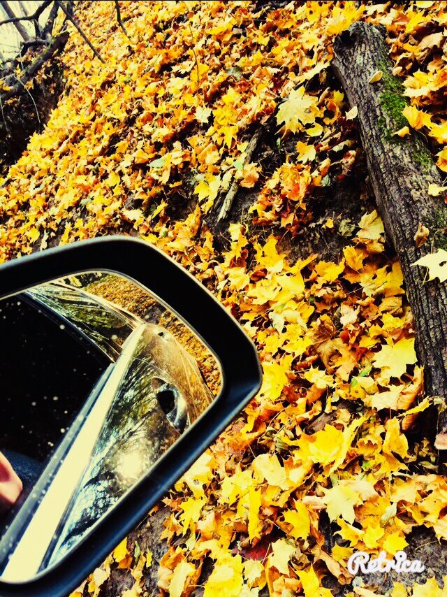 Личный архив