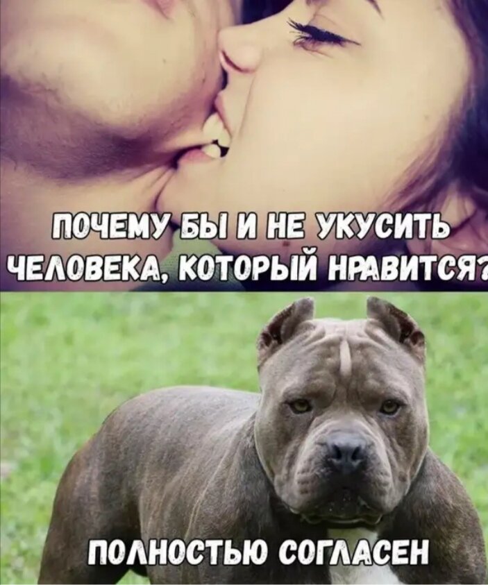 Почему человек кусает любимого человека. Укусить человека который Нравится. Кусать любимого человека. Покусаю прикольные картинки.