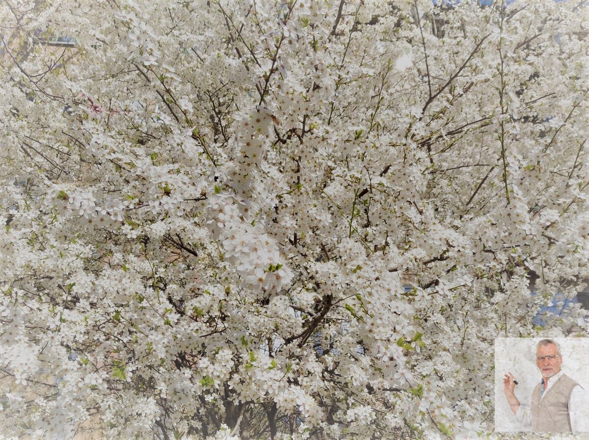 Заделайте прорехи в карме и поправьте здоровье за 5-15 минут