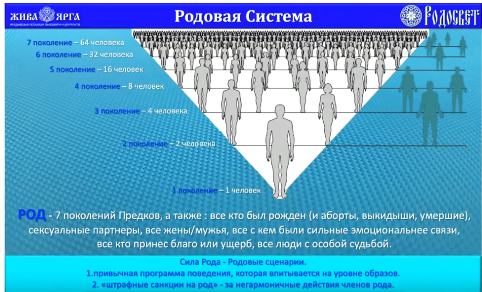 Сколько поколений живет в семье