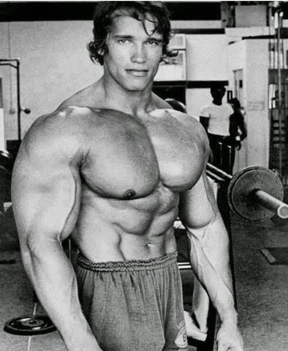  Арнольд Шварцнеггер