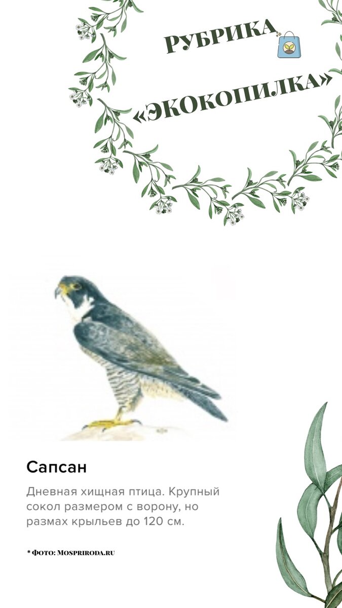 Фото из собственного архива