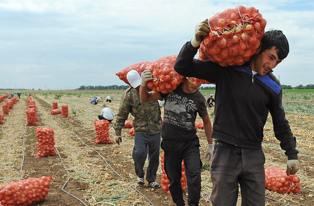 Фото из свободного доступа в Яндекс.