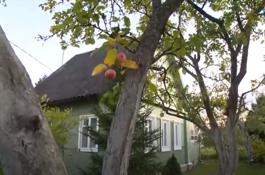 Дача Нины Усатовой