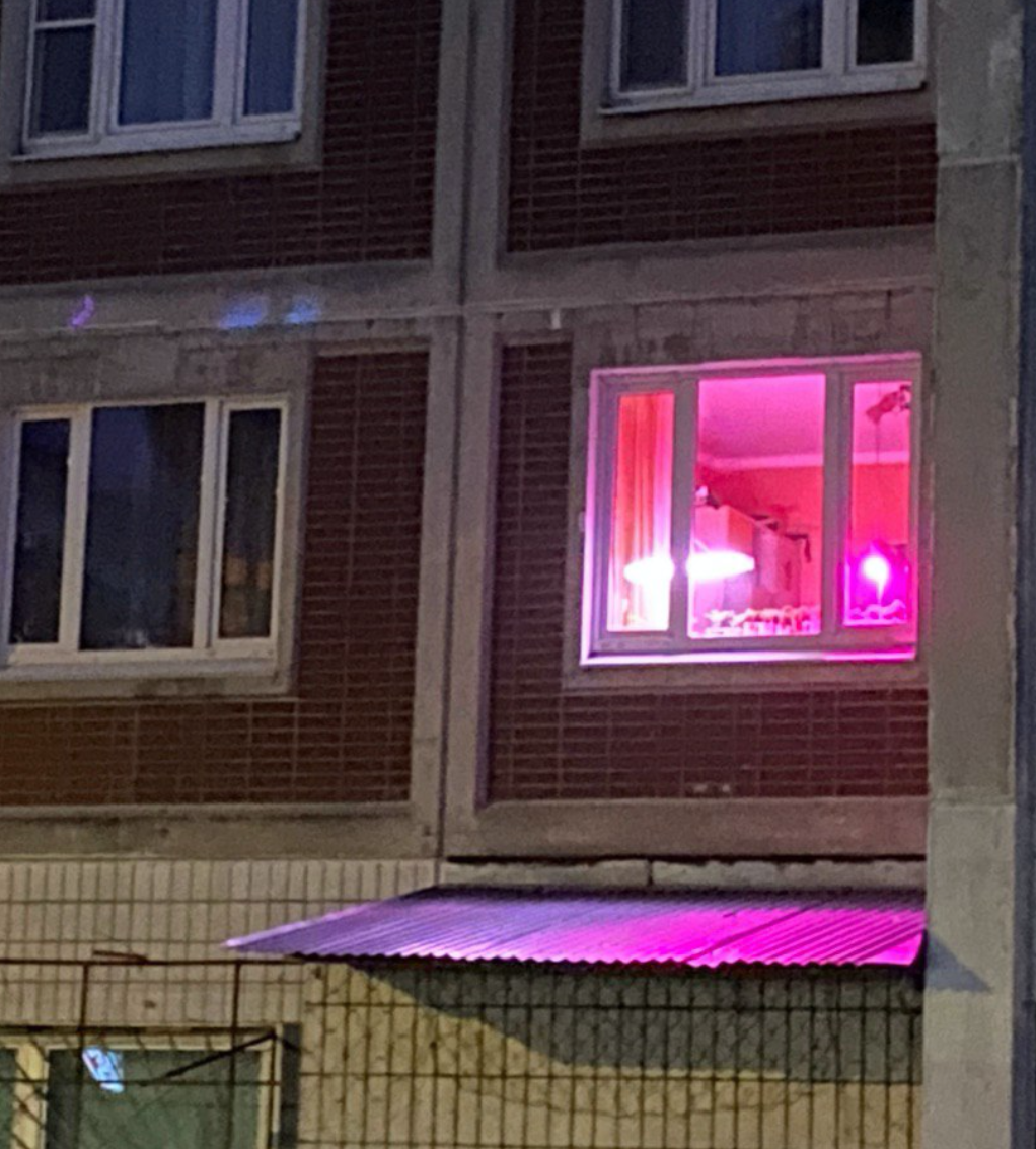 Розовые окна в домах. Фиолетовые окна в домах. Розовая подсветка в окнах. Фиолетовый свет в окнах домов.