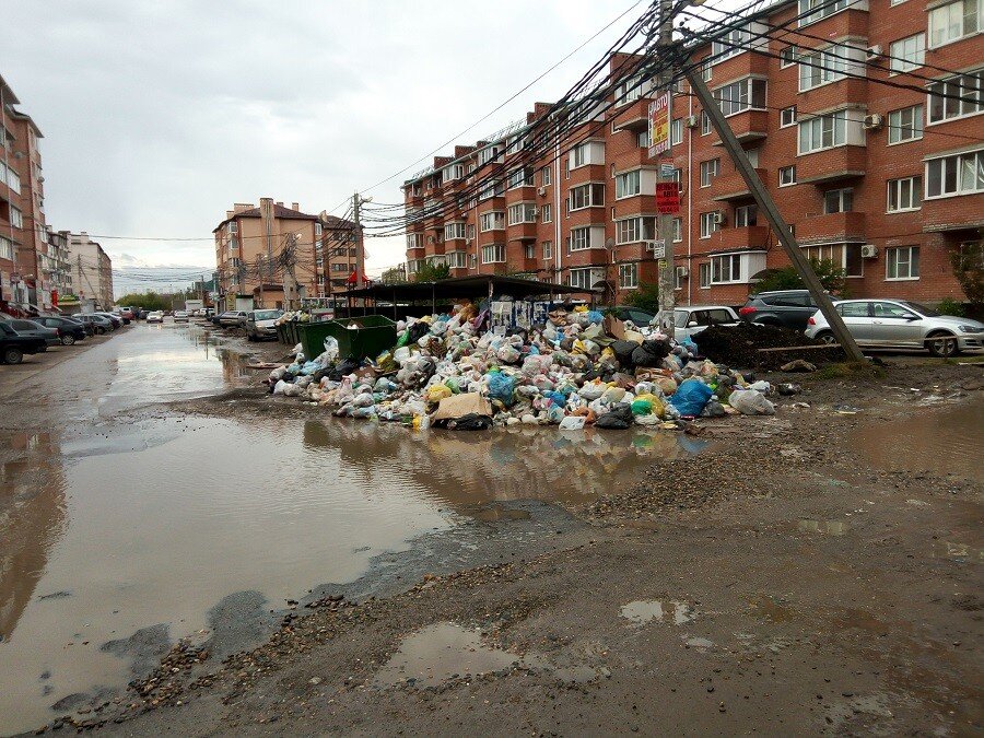 Яндекс картинки